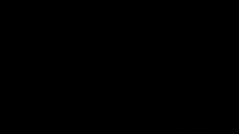 17067
