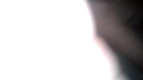 25313